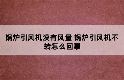 锅炉引风机没有风量 锅炉引风机不转怎么回事